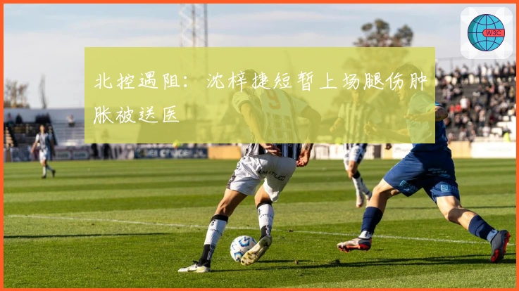 北控遇阻：沈梓捷短暂上场腿伤肿胀被送医