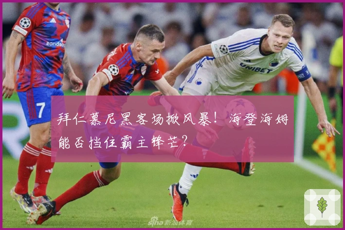 拜仁慕尼黑客场掀风暴！海登海姆能否挡住霸主锋芒？