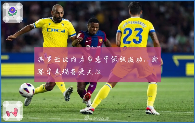 弗罗西诺内力争意甲保级成功,新赛季表现备受关注