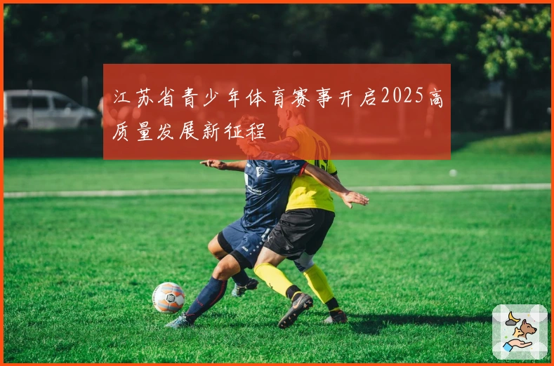 江苏省青少年体育赛事开启2025高质量发展新征程