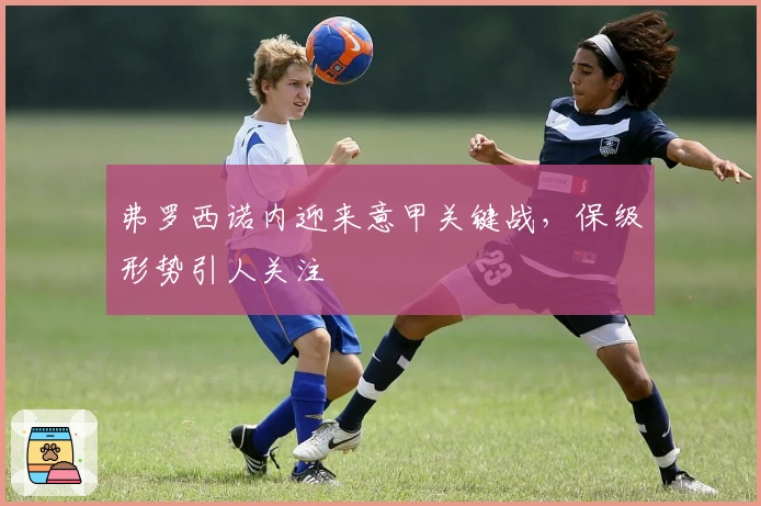 弗罗西诺内迎来意甲关键战，保级形势引人关注